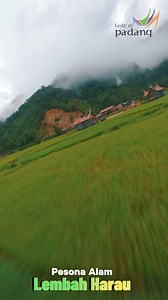 Pesona Alam Lembah Harau, Kab. 50 Kota #wisatasumbarrancak #wisatasolokselatan #wisatasolok #wisatasawahlunto #wisatapayakumbuh #wisatapantai #wisatapadangpariaman #wisata50puluhkota #wisatapasamanbarat #fypage #wisatagunung #wisatapasaman #fypindonesia #wisatasumbar #wisatapainan #fypシ゚viralシ #wisataagam #wisatapariaman #wisatadharmasraya #wisataalam #fyp #wisatabukittinggi #wisatamentawai #wisatapesisirselatan #wonderfullindonesiaofficial #wisatapadang #wonderfullindonesia #westsumatera #wisat