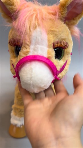 Second Story Shop สินค้ามือสองจากญี่ปุ่น ของเล่น ของใช้เด็ก รถเข็น คาร์ซีท on Reels | Facebook