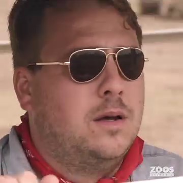 9.7K views · 222 reactions | Are YOU ready? The countdown is on... | Zoos Victoria | Facebook