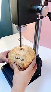 Coconut Opener Tool Set, Easy to Open Young Coconut Opener Machine, Coco Nut Opener Kit, Large, Black