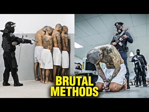 An Update On El Salvador's Prisons!