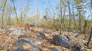 Cambo 4X4 | CAMBO 4x4