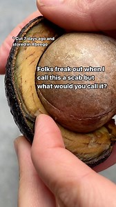 Flesh, skin, bruise are cool but scab is off limits! 😂🤢🤮 Thanks to Abeego, I understand enzymatic browning differently than most. If allowed to establish a protective crust an avocado will. Since occurs on living avocado flesh I think scab is the right word. 🫣 To achieve this level of natural preservation and keep the rest of the flesh green you need to ensure the avocado is protected from the dry air of the refrigerator but allowed to breathe in a naturally antibacterial wrap like Abeego Fo