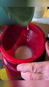 9.2K views · 275 reactions | Pouring fresh milk into a red bucket 拏✨ Nothing beats homemade goodness! #FreshMilk #HomemadeVibes | Cooking Survivals | Facebook