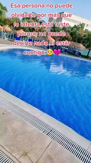 Cuentas recomendadas