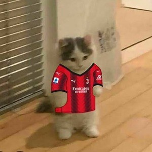 alejandro_gamer0707 - Twitch