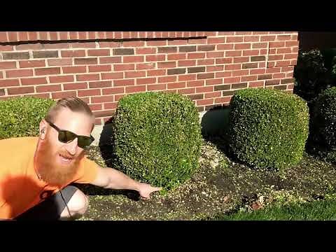 How to: Mulch Spreading & Plant Pruning Tutorial Overview