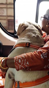 50K views · 5.9K reactions | Mujhe Khone Ke Baad Ik Din Tum Mujhe Yaad Karoge  জানি দেখা হবে আমাদের আবার কোন এক নতুন ভোরে  | Sontu | Facebook