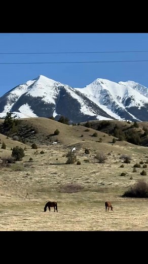 Explorin’ Yellowstone #mississippiqueenoutdoors #viralreelsfacebook #fypシ #Wyoming #Montana #godscountry #travelnurselife | Mississippi Queen Outdoors