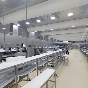 [Hot Item] Pig Slaughter Line Conveyor Beltabattoir Cattle Beef Cuttingmeat Production Processing Line