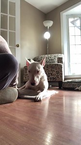 1K views · 25 reactions | *Nail Trims * Keeping it short and sweet....