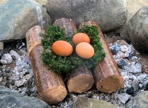 17M views · 10K reactions | Tasty recipes for your next camping trip! | Green Bean | Facebook