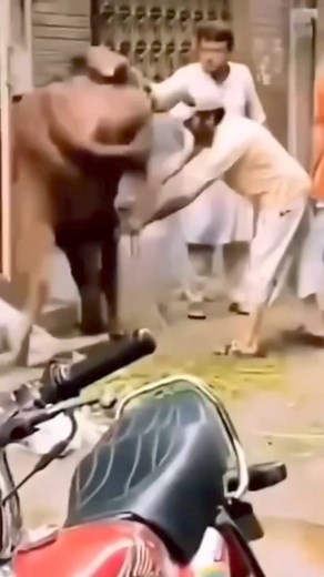 15K views · 93 reactions | Visit Closet Karachi and Lahore today! And Book Your Dream Eid Dress on a reasonable rent. #closetkaro#reels#rentaldressesinpakistan #rentals #rentadress #rentaldresses #pakistani #rentkaro #closetkarachi #closetoffical #Pakistanicelebrities #pakistanifashion #pakistaniwedding #fashion #wedding | Closet | Facebook