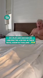 676K views · 6.6K reactions | Mom and dad get have an unexpected visitor in their hotel room  樂 | Furry Tails | Facebook
