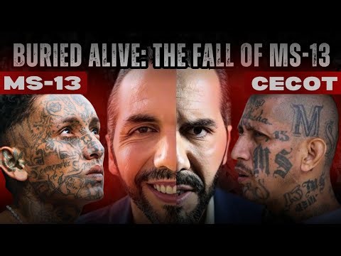 MS-13: Inside the World’s Deadliest Street Gang | The Fall of MS-13 (Documentary)