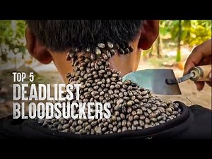 How to Survive the Top 5 Deadliest Bloodsuckers