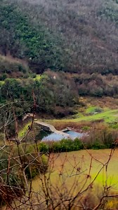 34K views · 618 reactions | Yeşil Niksar … | Niksar'a Dair | Facebook