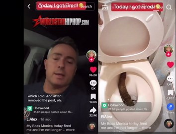 Realtor Fired After Posting Pic Of A Massive Turd His Boss Left At An Open House & Tagging Her On IG... Knowing There Was No Running Water!