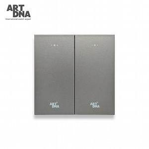 [Hot Item] Artdna 2 Gang Smart Electric Light Switch for Home Automation