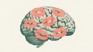 Your brain: the most important sex organ in the body