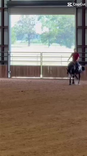 Franco Bertolani on TikTok