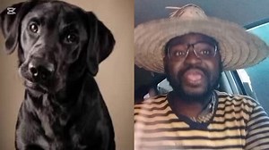 Fear woman 😭💔🦮🐕‍🦺💔😭🙆🏽😡 For more information about this story you can call ba mama katalina katuba on 260771338050 | General papa international Mr mojo