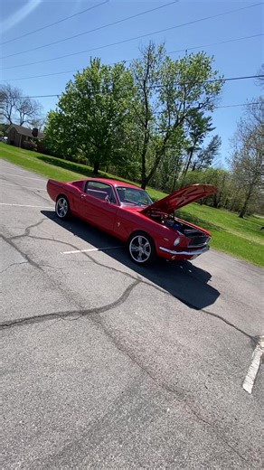 40K views · 1.3K reactions | 1965 Ford Mustang 2+2 Fastback $42,900 Maplemotors.com #2113 #classic #american #ford #mustang #fastback #forsale #dealer #v8 #rides #hotrods | Maple Motors | Facebook