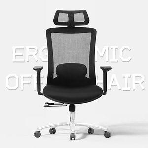 [Hot Item] Office Manufacturer Comfort Armrest Adjustable Design Task High Back Mesh Ergonomic Chair