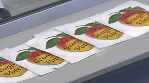 Georgia 2022 runoff election guide: Key dates and voting information