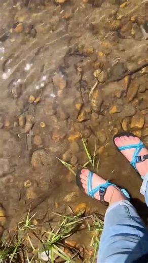 2.9K views · 80 reactions | Foot Wading, Fool's Gold, and Watching the Deep Part of the River | Cookin' Cuttin' Up and Ceepin' it Real | Facebook