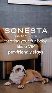 54K views | Reel by Sonesta Hotels & Resorts