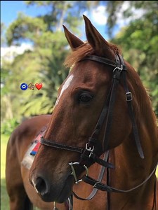 234K views · 9.1K reactions | Por ella sufro 弄!! | Jhonn Alex | Facebook