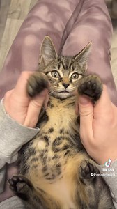 People For Pets on Reels