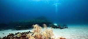 Black Sand Beach Dive Site in Curaçao | Curaçao Diving Guide