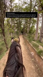 2.2K views · 172 reactions | Fitrat ka Husn: Subah ki thandi hawa, suraj ki pehli kiran aur ghoray ki tapon ki awaz ye aik Dili Sakoon manzar hota hai.❤️ #punjab #horse #morning #ride #hassan_saggal_007 | Maher Hassan Nawaz | Facebook