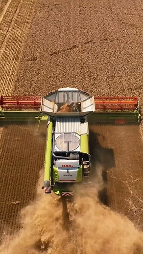 54 reactions | Claas Lexion 770  #campanierecoltat2024 #recolta | Revista Ferma | Facebook