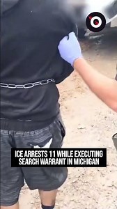 ICE arrests 11 while executing search warrant in Michigan