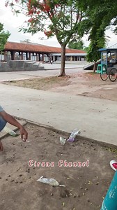 67K views · 801 reactions | Berkumpul Bersama Sebelum Ngamen Keliling #hiburan #pengamen #musisijalanan #pengamenlucu #pengamenviral | Cirana Channel | Facebook