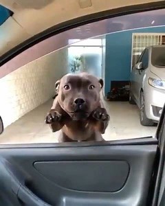 116K views · 2.8K reactions | Off to work. | Complex | Facebook