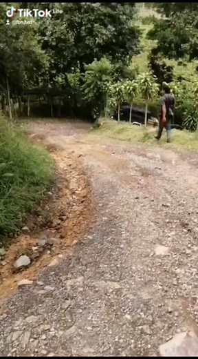 # El TORO VERDE 💪 | El TORO VERDE