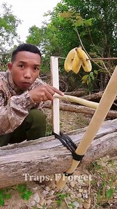 271K views · 646 reactions | Easy set up traps #trap #survival #outdoors #forest #skills #camping #tips #challenge #trap #skills #reels #hunting #alamliar #fores #nature #wildlife #photography #ontario #travel | Trap F. Forest | Facebook