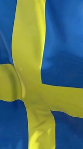 Quirky World of Swedish Guys #visitsweden #swedes #reels #travel #reelschallenge | Freaky and Fascinating