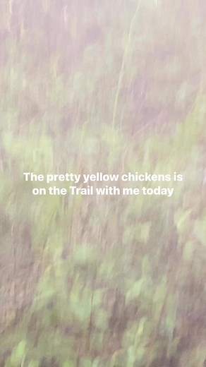 Chicken 🐔 Head Hoe #chickenheadhoe #chickenhead #chicken #food #foodporn #instafood #foodie #healthyfood #foodstagram #foodphotography #foodgasm #foodblogger #foodlover #foodpics #foodpic #foodies #foods #veganfood #seafood #goodfood #foodblog #foodgram #japanesefood | Troy D. Hubert