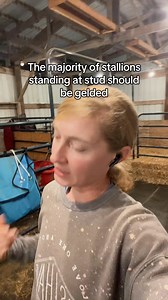 My take on JR studs and what should be gelded #misfitbarrelracer #fypシ #fyp #barrelracing #horsegirl #rodeo #farmlife #barrelhorses #barrelracer #horse | Misfit Barrel Racer - Amber Morris