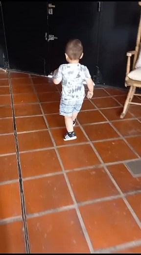 Toddler Attempts to Open a Door: A Cute Moment