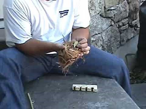 How to start fire without matches using hand drill