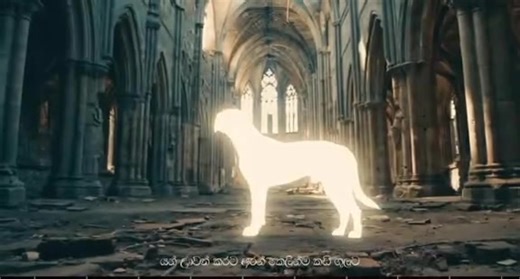 3K views · 99 reactions | Samith Gomes  | Srilankan HipHop Society | Facebook