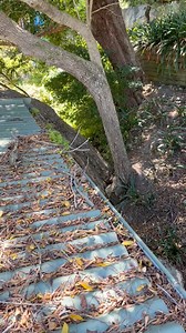 Gutter cleaning in extreme heat 🥵#cleaning #roof #dirty #flood #blocked #satisfying #topless #sunscreen #reels #cleanup | Blossom Lawns & Gardens