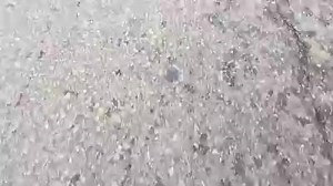 Allegheny County Sheriff's Office on Reels | Facebook