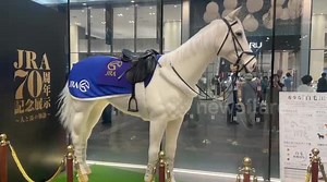 Lifelike robot horse amazes crowd in Toyko